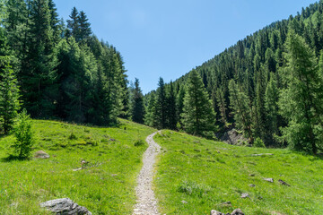 Summer Hike through Val Trupchun