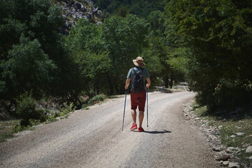 Man Hiking on Gravel Path in Forested Area with Backpack and Trekking Poles