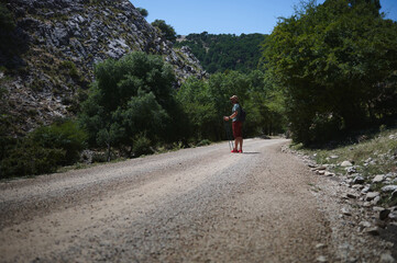 Man Hiking on a Scenic Forest Path with Trekking Poles and Backpack