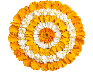 Artistic Marigold Petal Rangoli in Spiral Festival Pattern, isolated on transparent background PNG