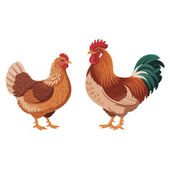 rooster and hen