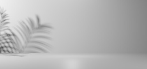 A minimalist black and white studio background with soft shadows of palm leaves on a blank white wall and floor, providing elegant copy space for product displays or abstract presentations.