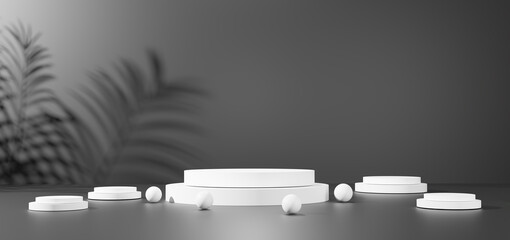 3D render Minimalist black and white studio featuring white cylindrical product display podiums and spherical elements, with soft shadows of palm leaves, Elegant product showcases and presentations.