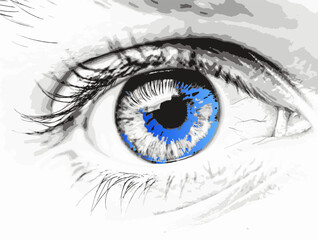 Human eye. Drawn human eye. Vector illustration