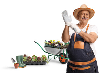 Cheerful mature gardener putting on gloves for work