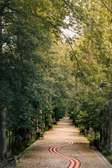 Obraz premium Park in the Dlugopole Zdroj - Poland - 2025 - main alley in the park - Lower Silesia - Dolnyslask
