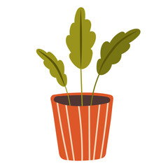 Plant in pot vector illustration. Flat indoor decorative plants in pots for home or office indoor decoration, green garden flower icon collection isolated on white