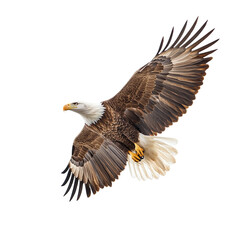 Fototapeta premium Majestic bald eagle in flight wings spread wide against a black background a powerful bird of prey soaring high