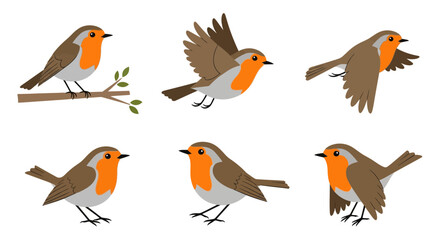 Obraz premium Robins in different poses and angles with simple background 