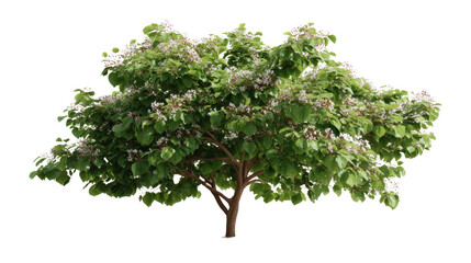 Obraz premium Magnificent Blooming Tree: A vibrant, flourishing tree, abundant with lush green leaves and delicate flowers, stands as a symbol of life and growth.