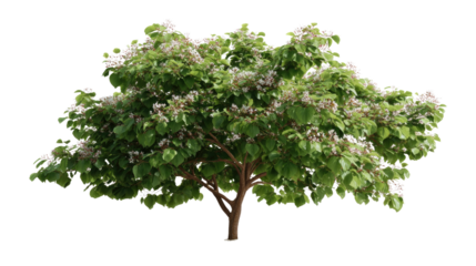 Magnificent Blooming Tree: A vibrant, flourishing tree, abundant with lush green leaves and delicate flowers, stands as a symbol of life and growth.