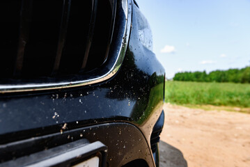 Killed insects on the bumper of the car, broken midges.