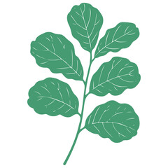 Fiddle leaf fig (Ficus lyrata) branch in a stylized linocut or woodcut print style. Green botanical vector element for eco and nature-themed designs.