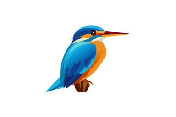 kingfisher on white background