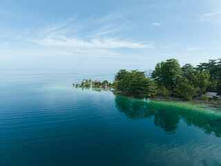 Aerial view of a beautiful tropical island in the Pacific Ocean with mangroves and coastal almond trees. A tropical island with calm waves and clear skies