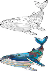 Swimming whale for anti stress Coloring Page. Color and outline set
