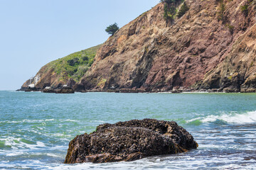 Kirby Cove Beach in California with red sand, blue ocean waves, and dramatic cliffs covered in pine...