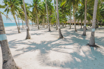Bohol - Philippines
