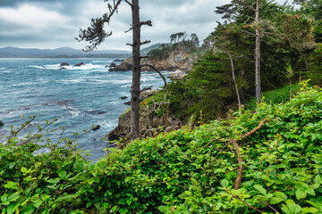 Breathtaking coastal scenery from Point Lobos, California, featuring rugged cliffs, turquoise...