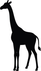giraffe-icon-silhouette-tall-neck.eps