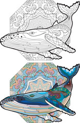 Swimming whale for anti stress Coloring Page. Color and outline set