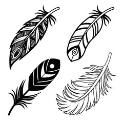 Obraz premium A vector set of black bird feathers for design and illustration