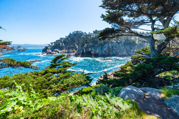 Point Lobos State Natural Reserve in California USA features turquoise waters, rugged cliffs, and vibrant coastal vegetation under a clear sky.
