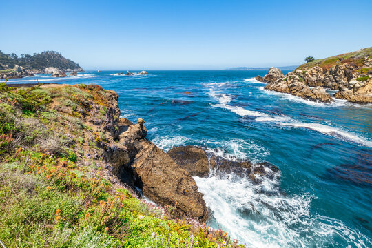 Point Lobos State Natural Reserve in California USA features turquoise waters, rugged cliffs, and vibrant coastal vegetation under a clear sky.