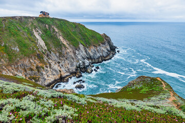 Dramatic ocean cliffs and lush coastal hills seen from Devils Bunker overlook, near Gray Whale Cove...