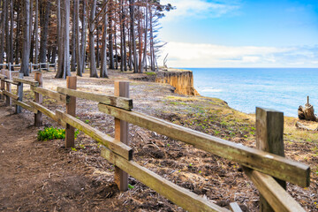 Cliffside trail lined with cypress trees and wooden fence at J V Fitzgerald Marine Reserve,...
