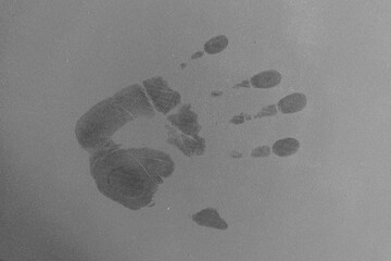The smooth, dusty surface reveals a distinct handprint that shows off intricate detail and texture....