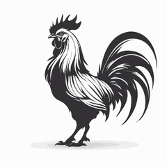 rooster vector illustration