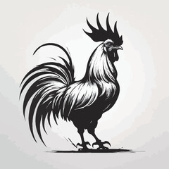 rooster vector illustration