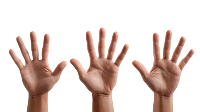 Three Palms: A trio of open hands, palms facing the viewer, display the intricate details of the human hand, rendered in sharp focus against a clean backdrop.