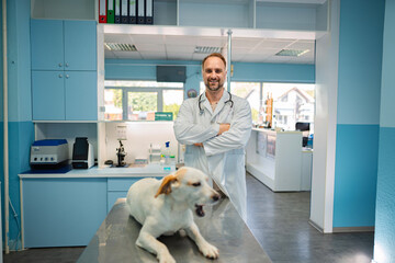 Veterinarian in clinic with an attentive dog during a busy day