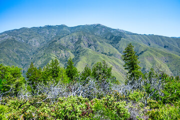Scenic view of rolling green mountains and forested trails in Julia Pfeiffer Burns State Park,...