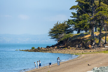 Coyote Point Recreation Area in San Mateo County features a peaceful shoreline with trees, rocks, and people walking by the calm waters of the San Francisco Bay on a sunny day