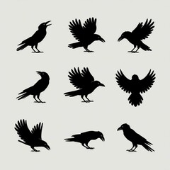 Obraz premium set of silhouettes of birds