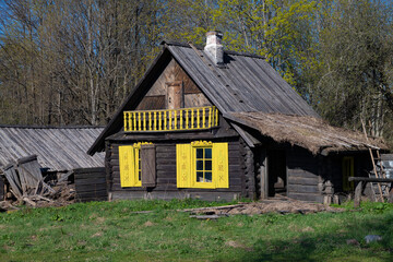 An old abandoned peasant house on a sunny May day. Loskovskoe tract, Pskov region