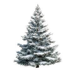 Snow-Covered Evergreen Tree Isolated on White Transparent background