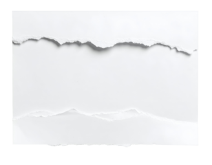 Crisp white paper with two dynamic horizontal rips revealing authentic, textured edges for overlays.