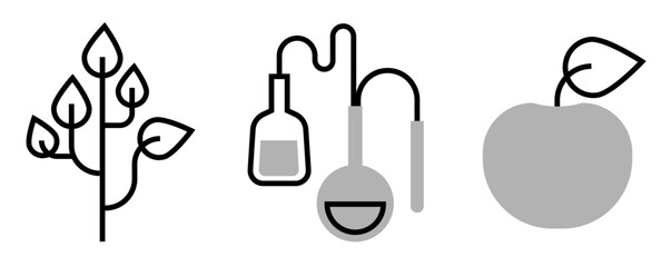 Set of Education icons: tree branch, laboratory glassware setup and apple fruit, on transparent background, flat line design, vector illustration