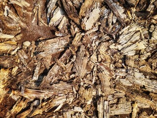 Rotten Wood Chips Texture – Organic Decomposed Bark Pattern for Nature Backgrounds