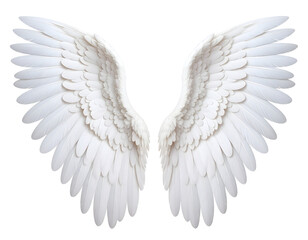 Fototapeta premium Stunning white feathered wings extend symmetrically, representing peace, hope, and heavenly inspiration.