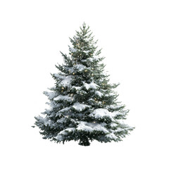 Snow-Covered Christmas Tree with Fairy Lights on White Transparent background
