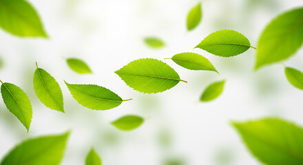 Obraz premium Flying green leaves on white background. Fresh spring foliage. AI generative
