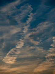 Viele Kondensstreifen am blauen Himmel