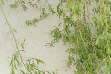 willow branches creating patterns on the surface of sand