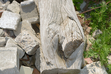 old weathered log and construction waste at the edge of the lake