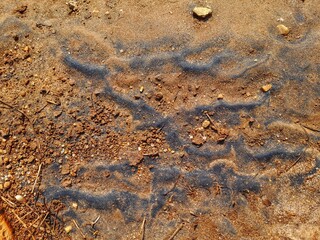 ferro sand  at land surface
